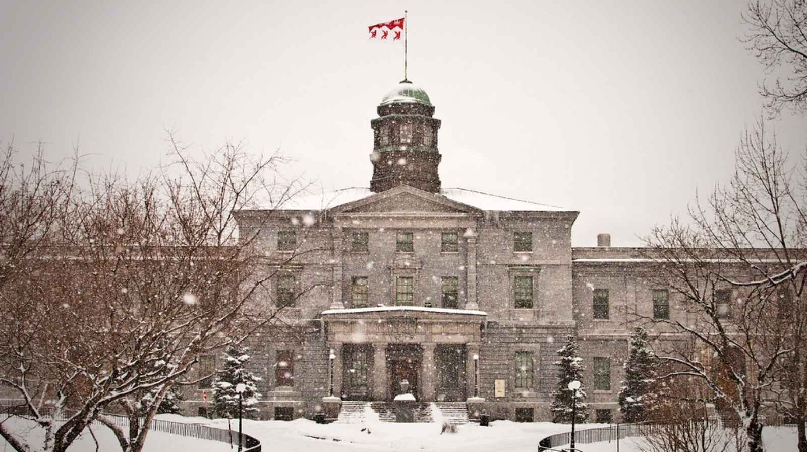 McGill University